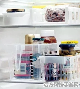 把冰箱装满Fill The Fridge，收纳爱好者的冰箱整理大挑战