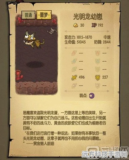 骑砍光明与黑暗，揭秘龙是否能飞的奥秘