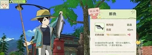 小森生活探秘，山眠岛乌贼王垂钓指南