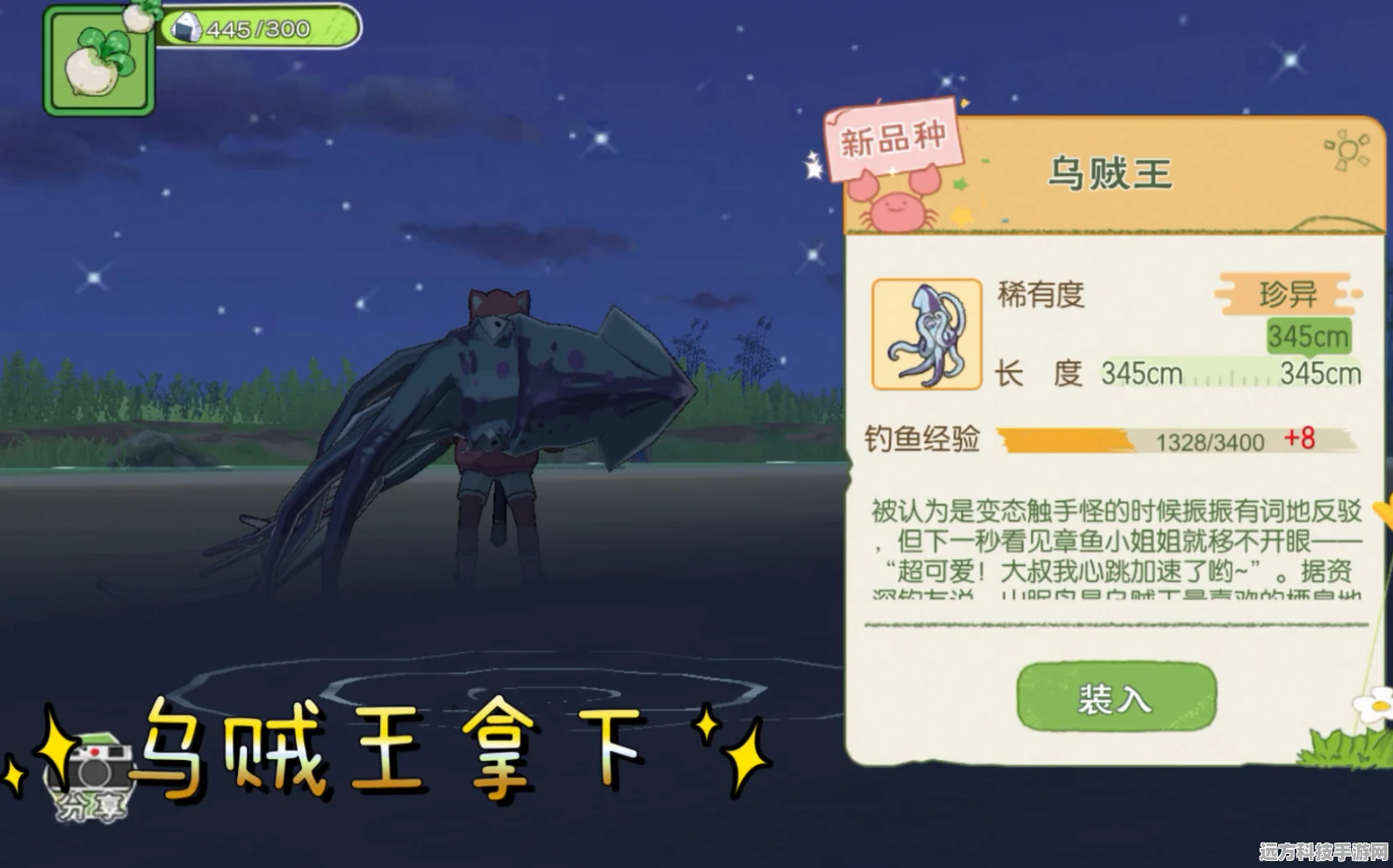 小森生活探秘，山眠岛乌贼王垂钓指南