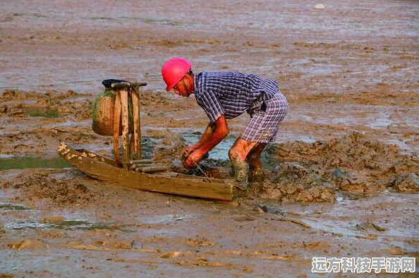 创造与魔法弹涂鱼垂钓指南，揭秘最佳钓鱼位置