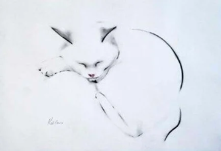猫画家，一笔一划绘出你的休闲时光