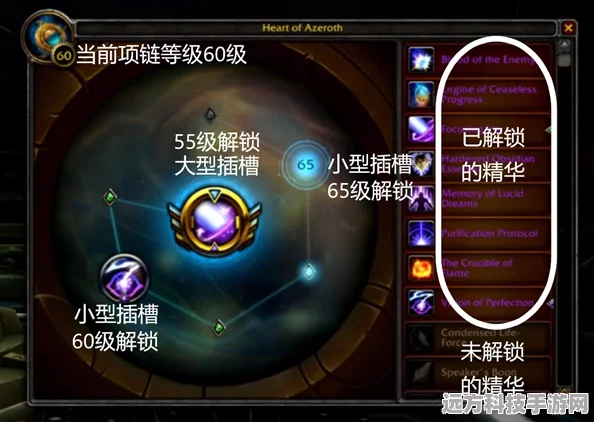 魔兽世界团本CD，解锁高效游戏与稀有装备的秘密