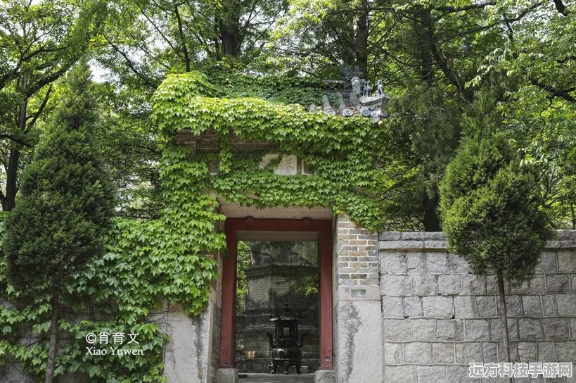 苍之骑士团装备珠搭配秘籍，三大实战思路全解析