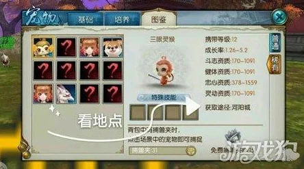 新诛仙宠物技能深度解析，活力回血技能全揭秘