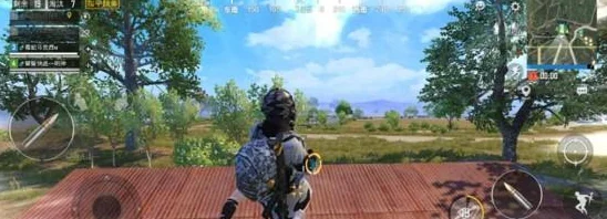 和平精英特种作战深度解析，机动兵如何舞动战场灵动旋律