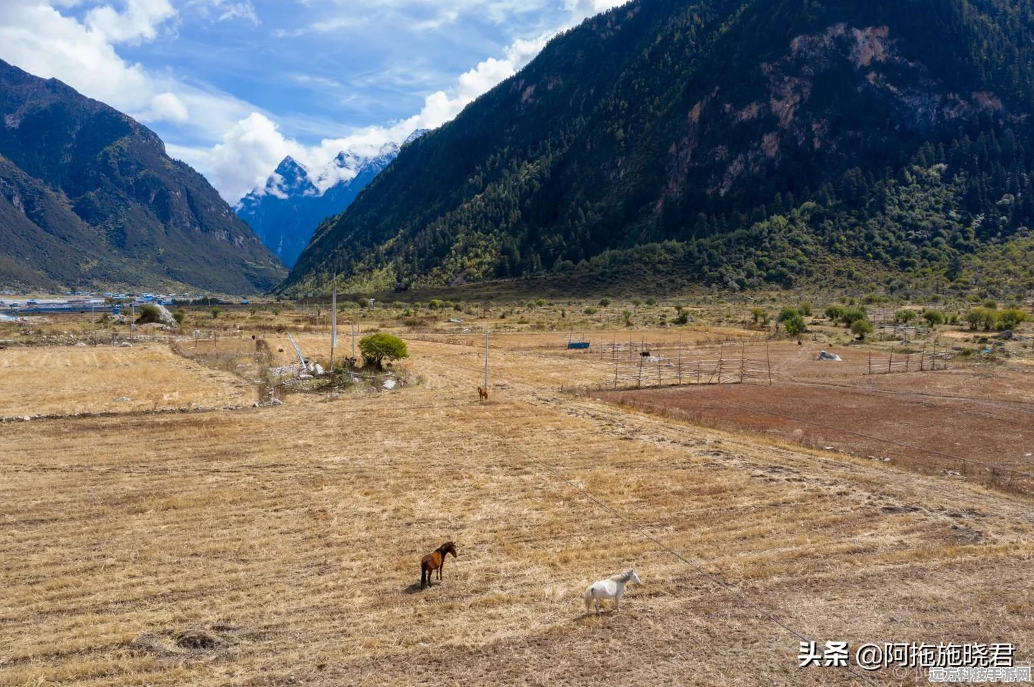 魔兽世界探险指南，揭秘冰冷的肉掉落圣地