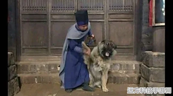 武林外传手游，揭秘一条龙活动玩法及奖励攻略