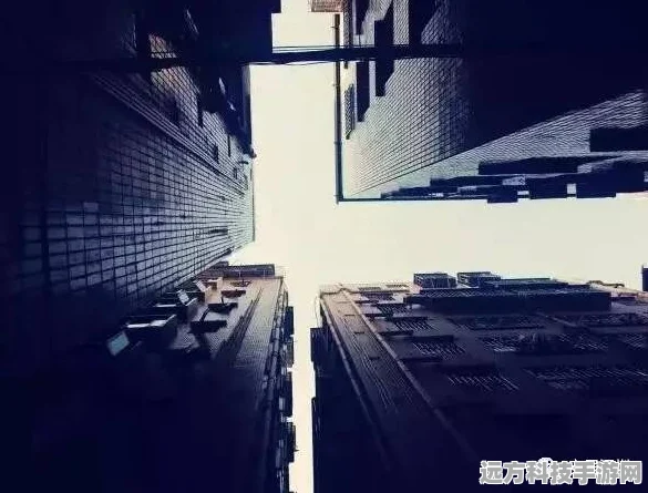 黑暗与光明交织，玩家视角下的租房VS自建房，安居梦的深度探索