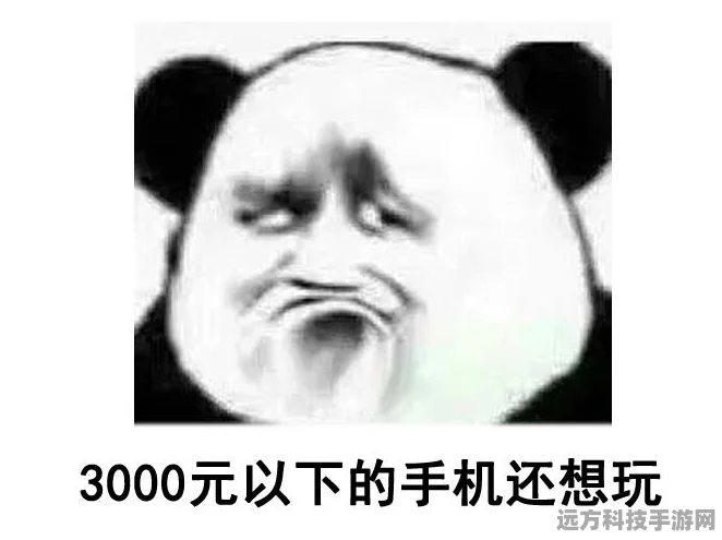 龙族装备搭配秘籍，解锁极致伤害输出的艺术