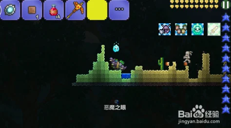 泰拉瑞亚小动物香波获取全攻略