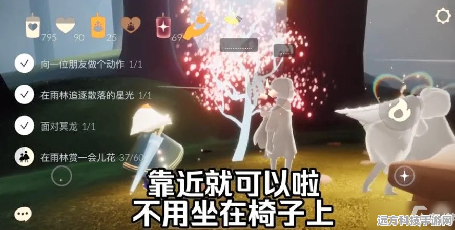 光遇雨林赏花任务全攻略，解锁雨林之美，轻松赏花拿奖励