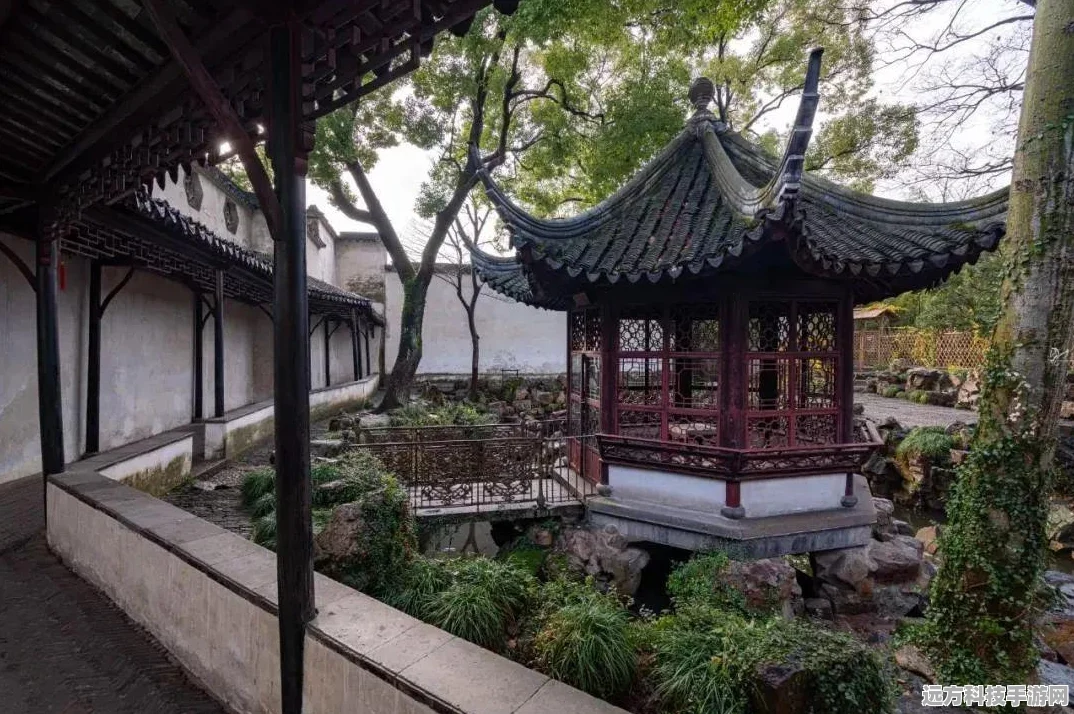 心动小镇，探秘独特林木，解锁稀有树木宝藏