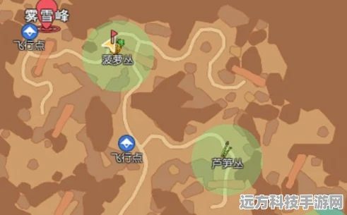 小森生活彩虹奇遇，彩虹羊驼刷新全攻略