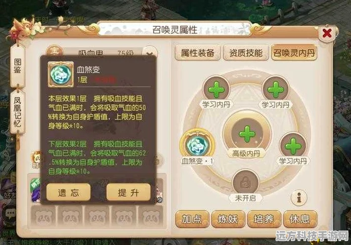 梦幻西游手游，血宠加点全攻略，打造你的战斗伙伴