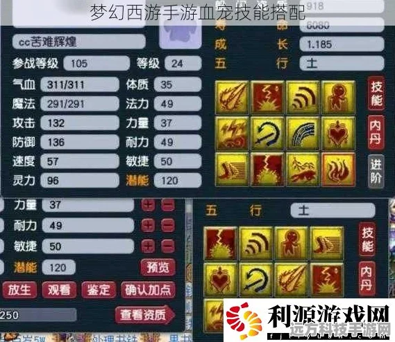 梦幻西游手游，血宠加点全攻略，打造你的战斗伙伴