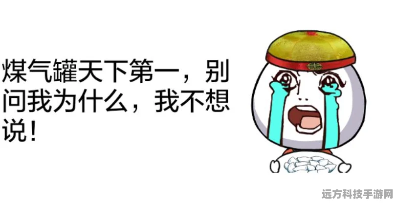 DNF瞎子换不锈钢盆，一场职业平衡调整引发的梗