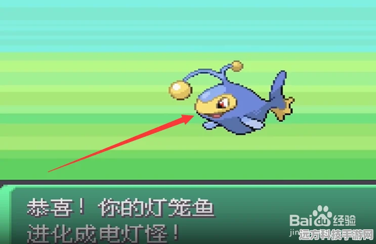 口袋妖怪漆黑的魅影，揭秘灯笼鱼的进化之路