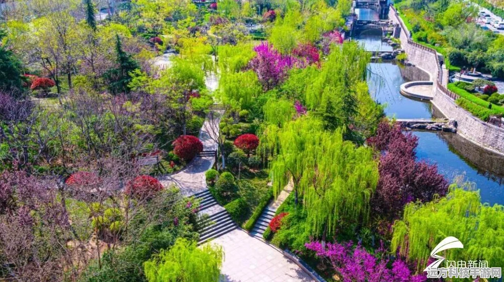 城市天际线，高架桥建设秘籍，按键操作大揭秘