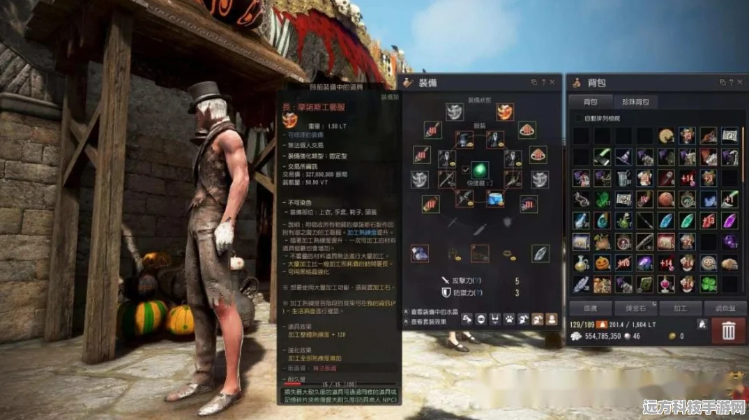 黑色沙漠，鸟王装备闪耀，征服者的荣耀之路