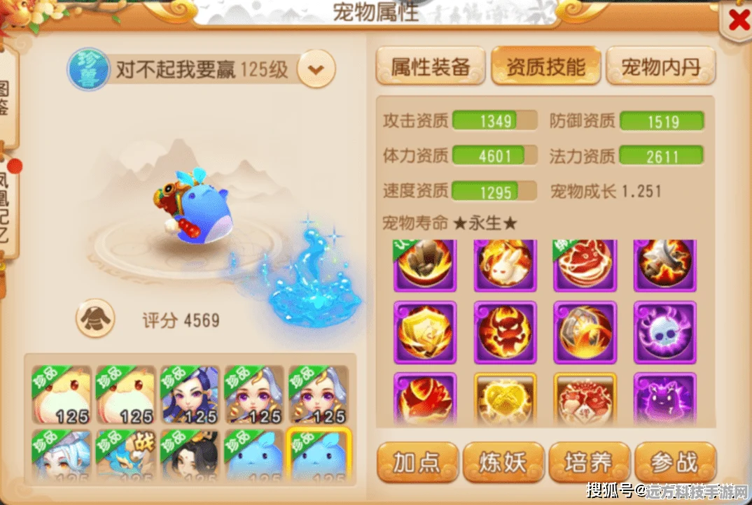 梦幻西游手游，深度探索配速宠的奥秘与速度需求