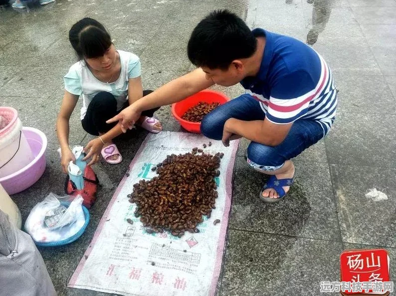 火爆猴性格深度剖析，打造战斗利器的关键选择