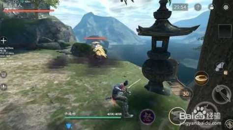 流星蝴蝶剑手游深度探索，荒岛渔夫的全面攻略
