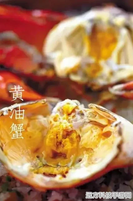 原神黄油蟹蟹食谱全揭秘，打造美味与防御并存的料理