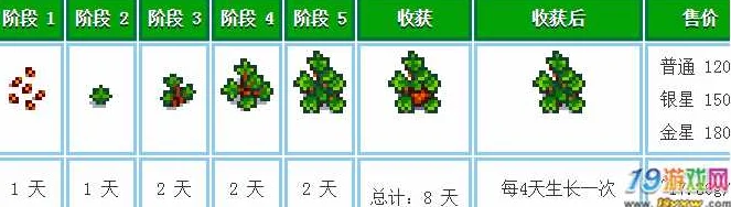 星露谷物语，农作物生长天数全攻略，助你成为种植大师