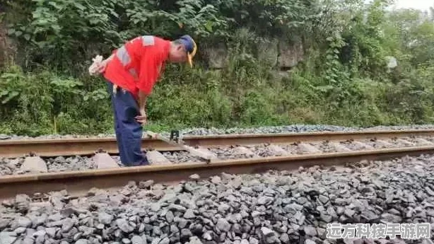 猫之城异常封锁第二期阵容搭配全攻略