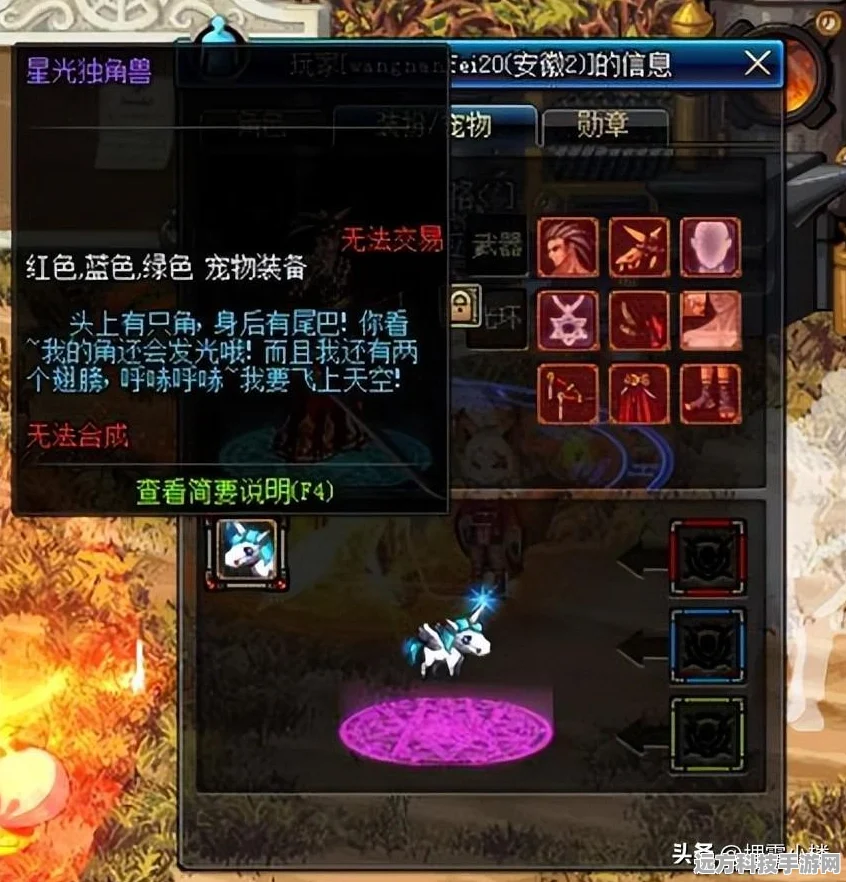 DNF手游星光独角兽，珍稀宠物获取与用途全解析