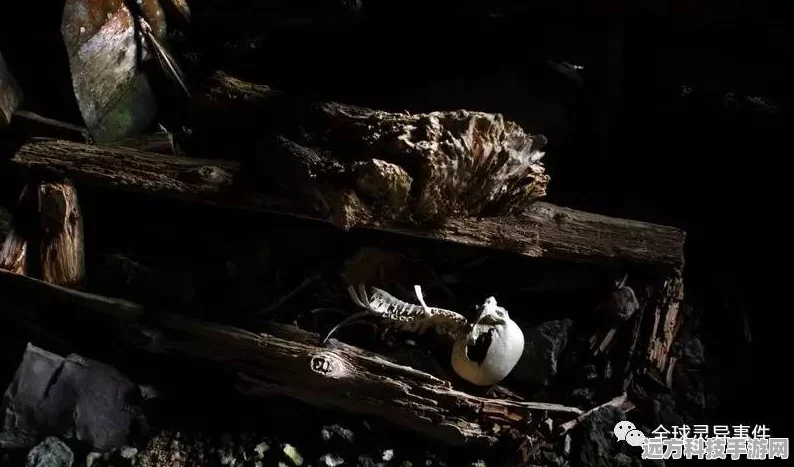 探秘诡异世界，解锁未知谜团 ——讲个诡故事安装下载全攻略