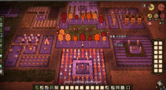 饥荒联机版，揭秘9大顶级建家地址