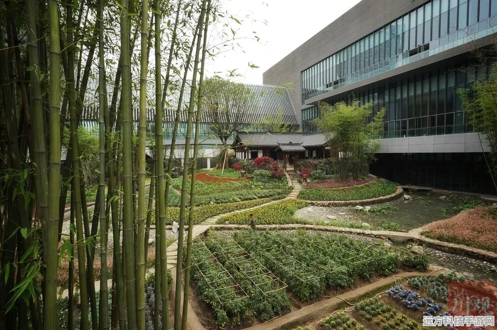 探秘模拟建筑世界，多样挑战等你来体验