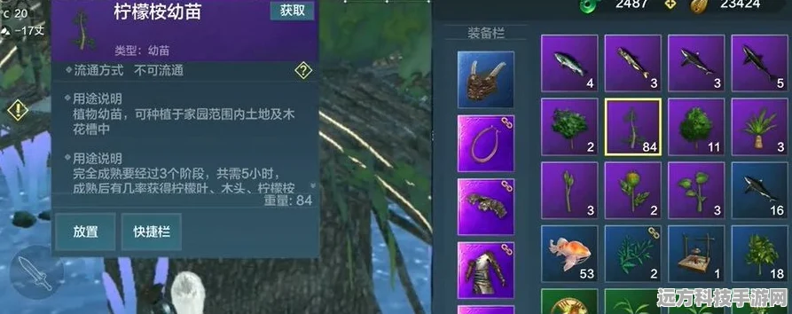 妄想山海奇遇记，解锁柠檬树的隐秘仙境