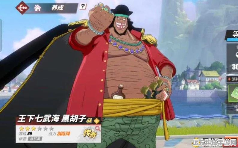 航海王热血航线，黑胡子戮力围攻，高分攻略大揭秘