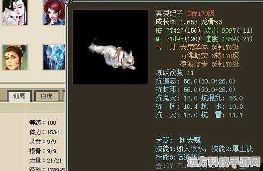 大话西游2冥灵妃子，新手到高手的养成攻略
