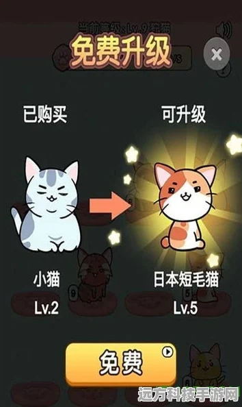 开心猫舍安卓版震撼上线，打造你的梦幻猫咪王国