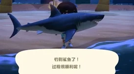 动物餐厅钓鲨鱼秘籍，分屏操作助你成功率飙升
