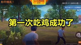 和平精英训练岛，决斗王者之路全面揭秘