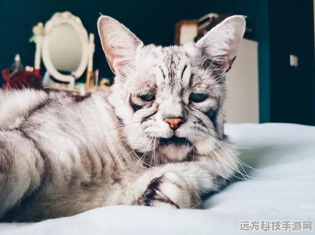 猫咪节奏达人，解锁冒险新篇章，解谜与节奏的双重盛宴