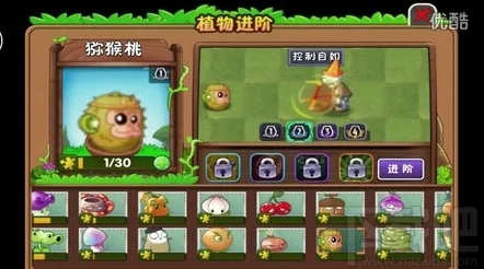 解锁植物大战僵尸2双人对决，畅享实时对战乐趣