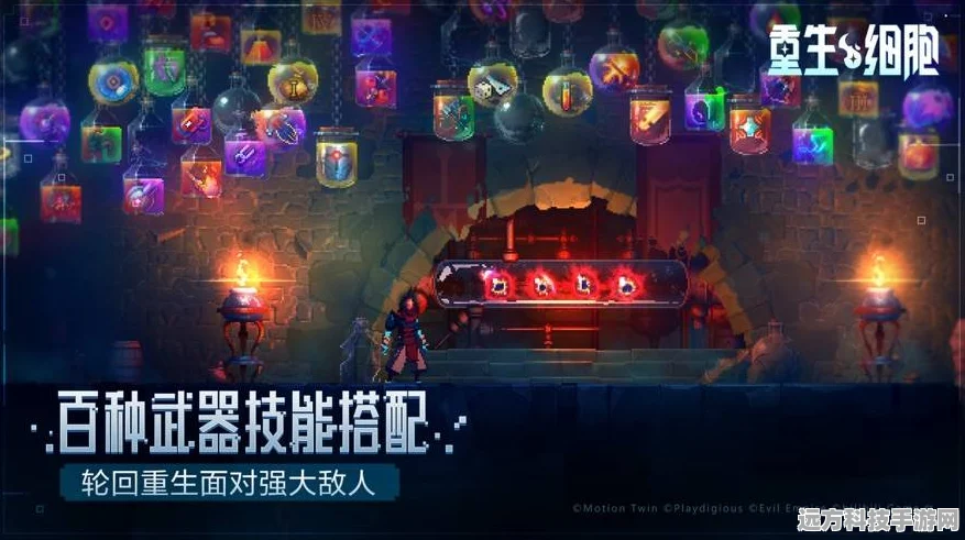 重生细胞新手必看，常见问题全解析与实战攻略