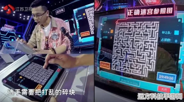 超级收纳馆挑战极限，坠强大脑全攻略，解锁终极收纳秘籍与通关秘籍大揭秘