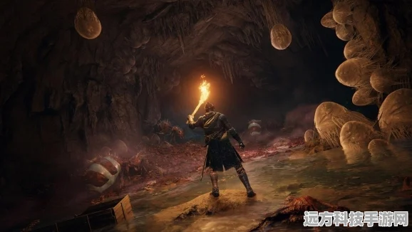 艾尔登法环流浪骑士，新手开荒全攻略