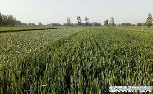 DNF中男拳角色，拳师与狂战士的热血对决
