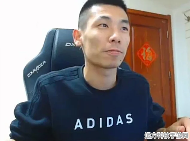 王者荣耀，探索国服标志符号的辉煌历程与荣耀玩家