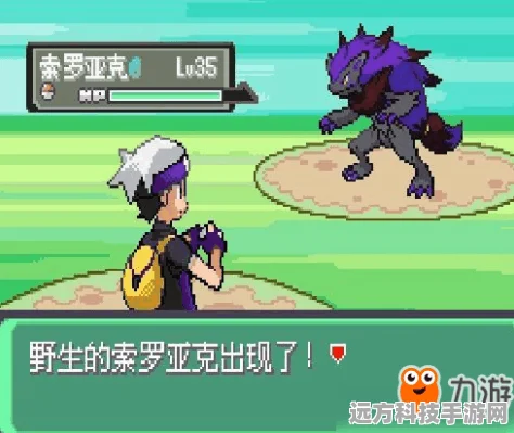 口袋妖怪漆黑魅影，钓鱼技巧与乐趣探索