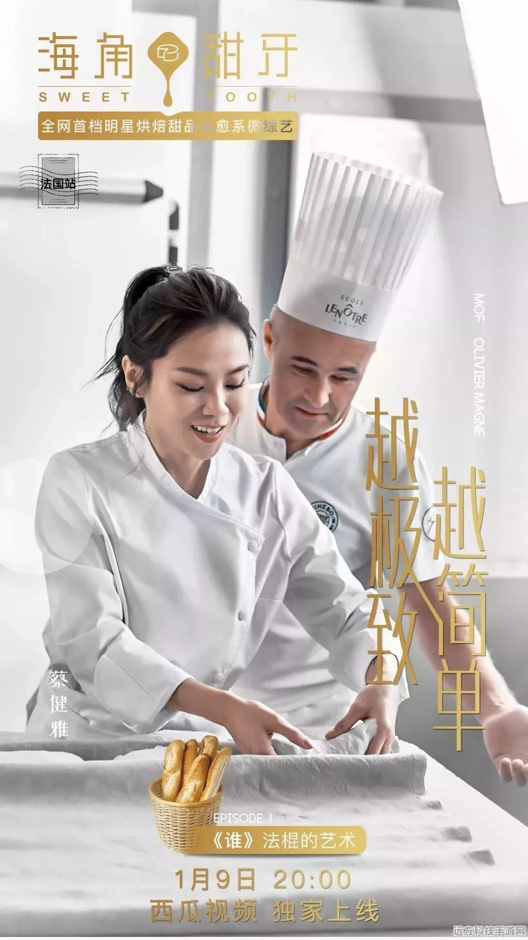 飞机大厨最新版，无限金币钻石，烹饪天空的美食盛宴