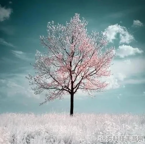 逆势择天，探索幻想仙侠世界的奇妙之旅